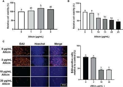 Allicin Improves Intestinal Epithelial Barrier Function and Prevents LPS-Induced Barrier Damages of Intestinal Epithelial Cell Monolayers